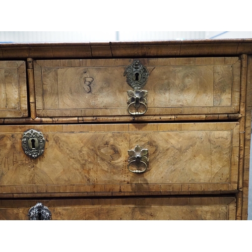 516 - Queen Anne chest of 2 short and 3 long graduated drawers in burr walnut on bracket feet fitted with ... 