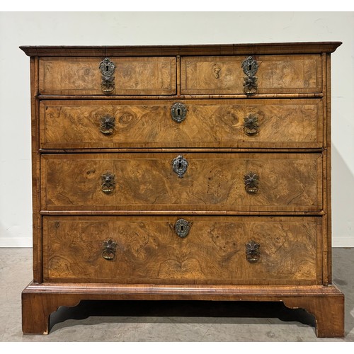 516 - Queen Anne chest of 2 short and 3 long graduated drawers in burr walnut on bracket feet fitted with ... 