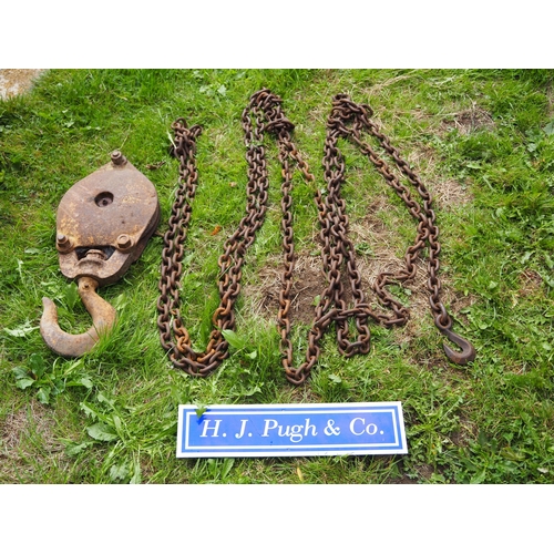 29 - Heavy duty dog and chain 37' and snatch block