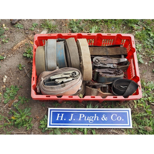 41 - Red tray containing lorry ratchets and mixed straps