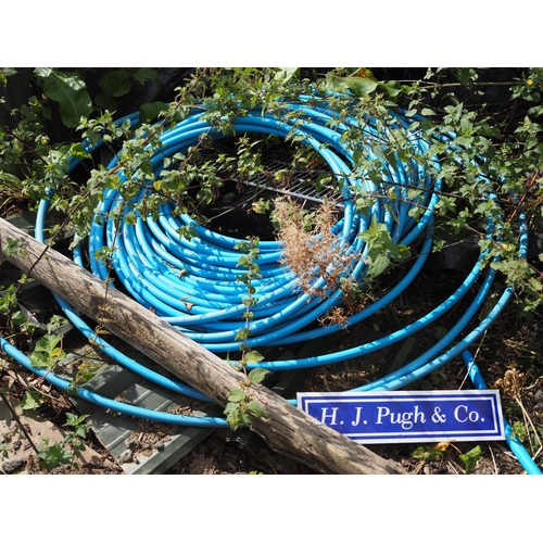 79 - Roll of blue polythene pipe