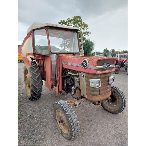 1642 - Massey Ferguson 165 tractor. Runs and drives. Barn stored for 25 years. No docs