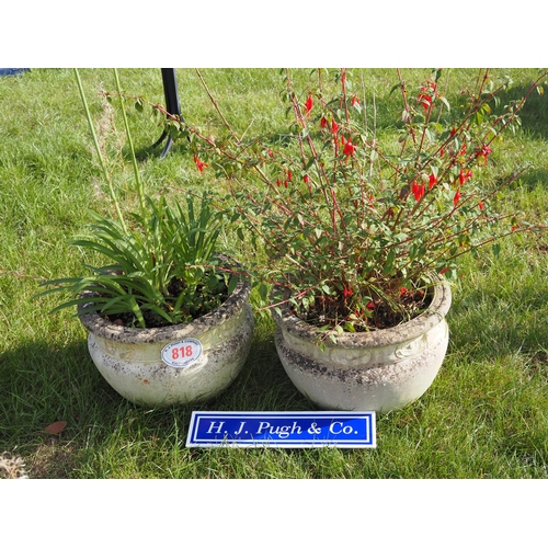 818 - Pair of planters