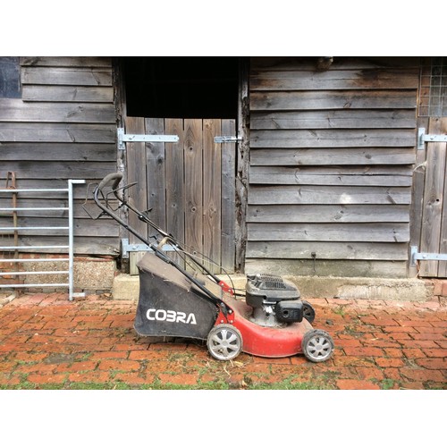 213 - Cobra rotary lawn mower