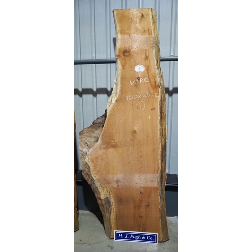 5 - Western Red Cedar 100