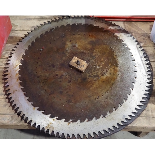 257 - Large saw blades - 2