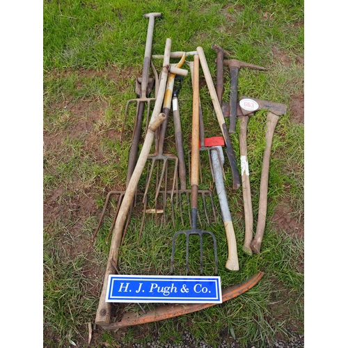 663 - Quantity of garden tools to include axes, scythe, etc.