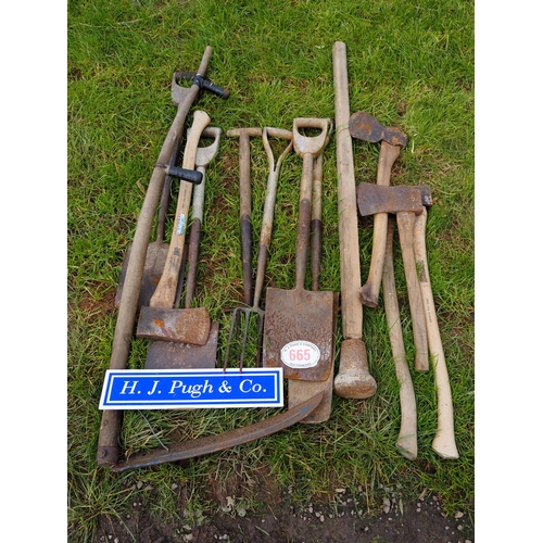 665 - Quantity of garden tools to include axe, scythe, etc.