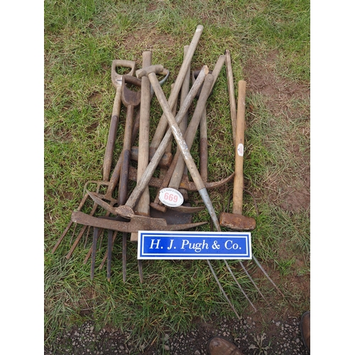 669 - Quantity of garden tools to include pickaxes, fork, etc.