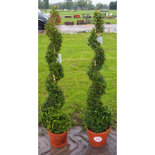 490 - Spiral buxus 3ft - 2