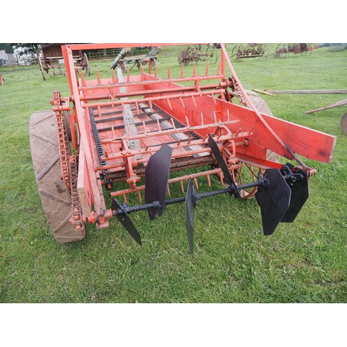 31 - Massey Harris horse drawn rear discharge muck spreader, working order