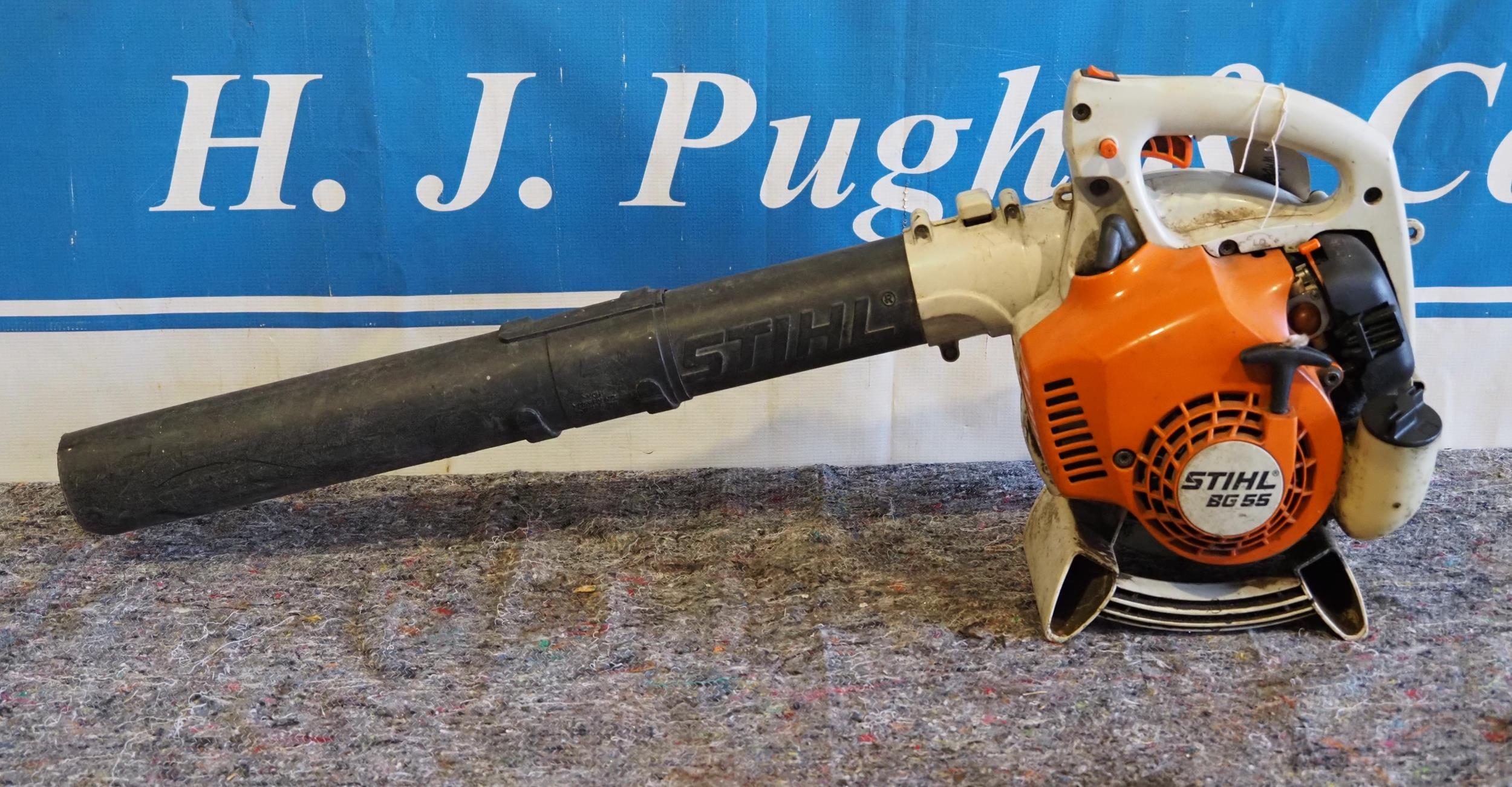 Stihl BG65 blower