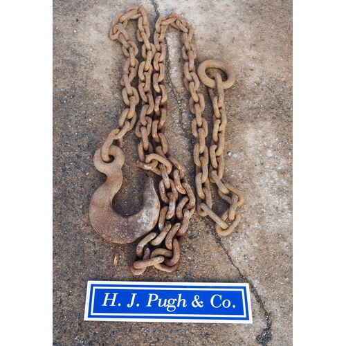 7 - Heavy lifting chain. Not tested