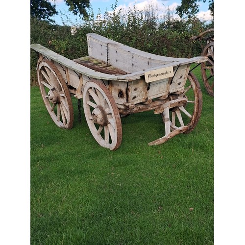 131 - Montgomeryshire cart with strake wheels