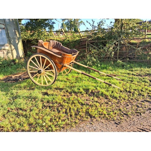 169 - Governess cart with spare shaft