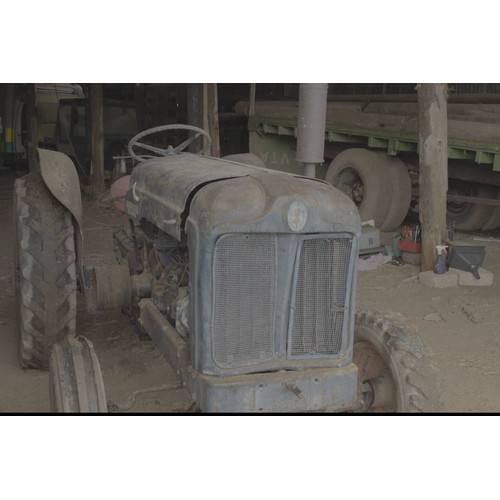 135 - Fordson Major KFD 52 orchard tractor. Petrol industrial spec. S/No. 1264417, built 31/8/1953. Starts... 