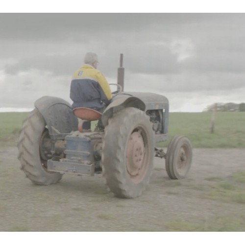 135 - Fordson Major KFD 52 orchard tractor. Petrol industrial spec. S/No. 1264417, built 31/8/1953. Starts... 