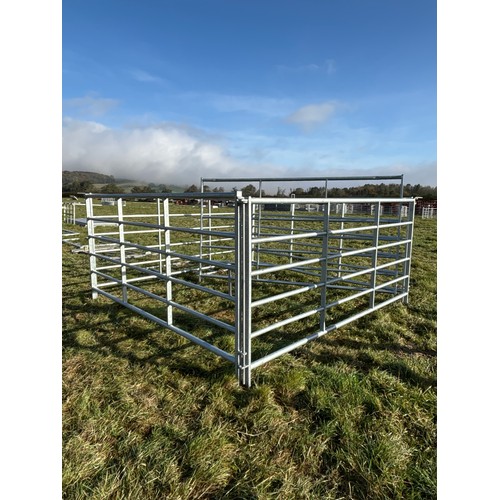 202 - Heavy duty cattle hurdles 10 x 5ft with rods - 6