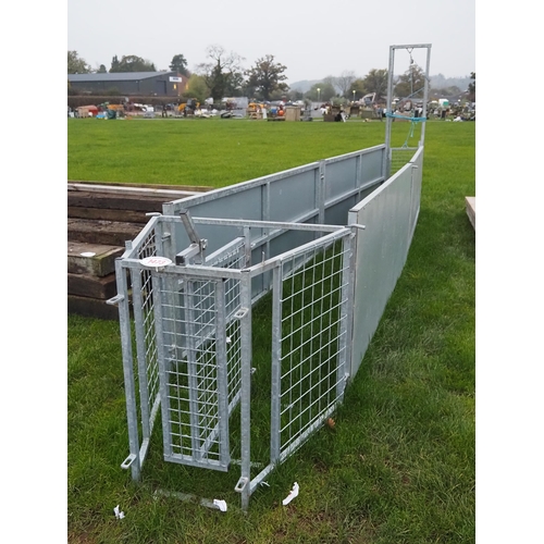 Sheep race, sheeted hurdles 8ft - 4 + drafting gate and guillotine gate