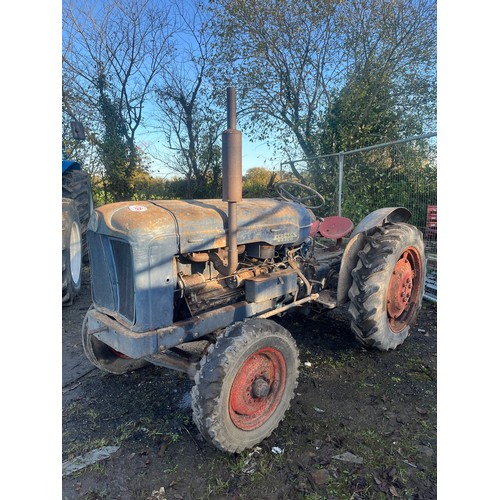 135 - Fordson Major KFD 52 orchard tractor. Petrol industrial spec. S/No. 1264417, built 31/8/1953. Starts... 