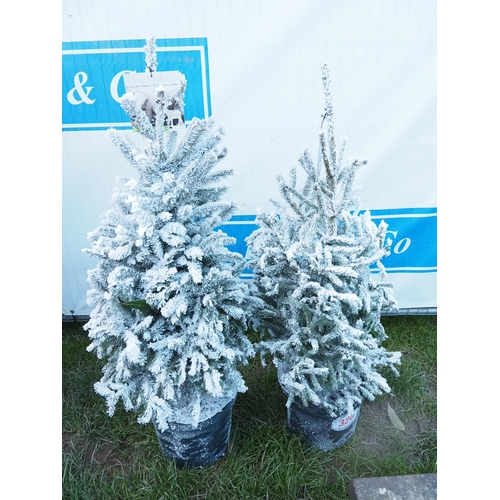 320 - Christmas trees 3ft - 2