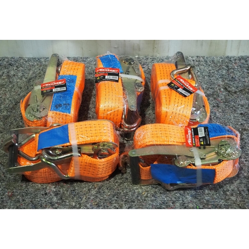 950 - Lorry straps 8m, 5 ton - 5