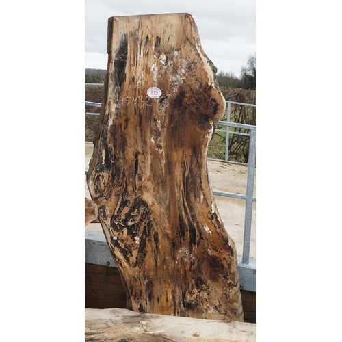 313 - Spalted Beech 95