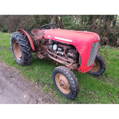Massey Ferguson 35 vineyard tractor. On 24