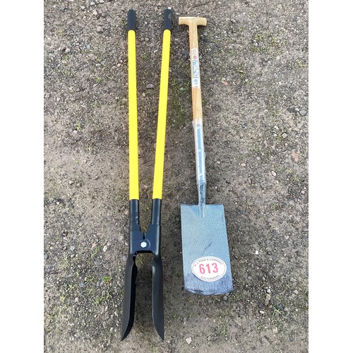 Lot 613       