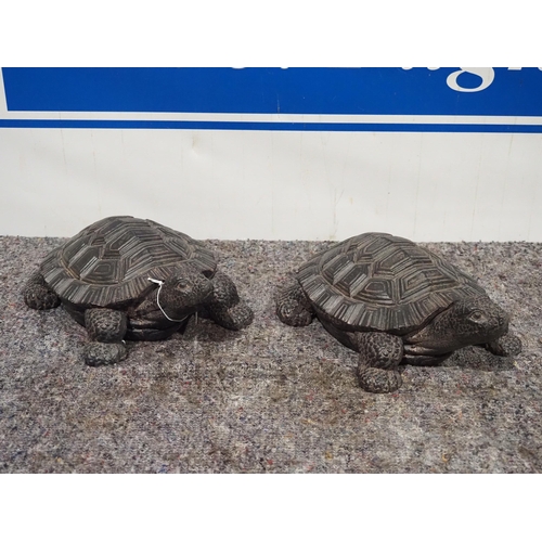 507 - Ornamental tortoises - 2