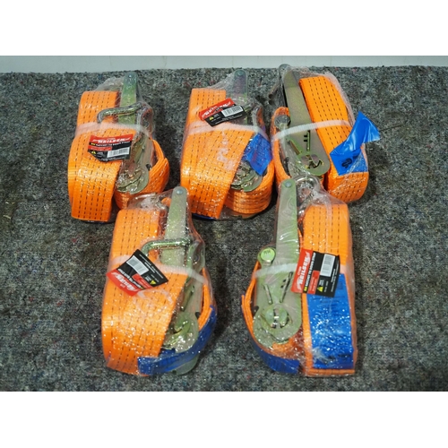 869 - 8m Heavy duty lorry straps - 5