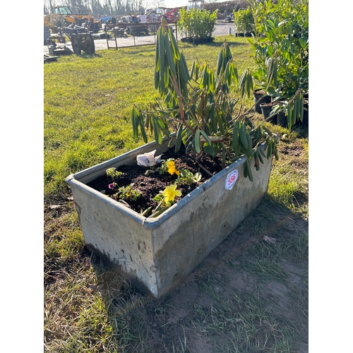 556 - Galvanised trough and plant 3ft