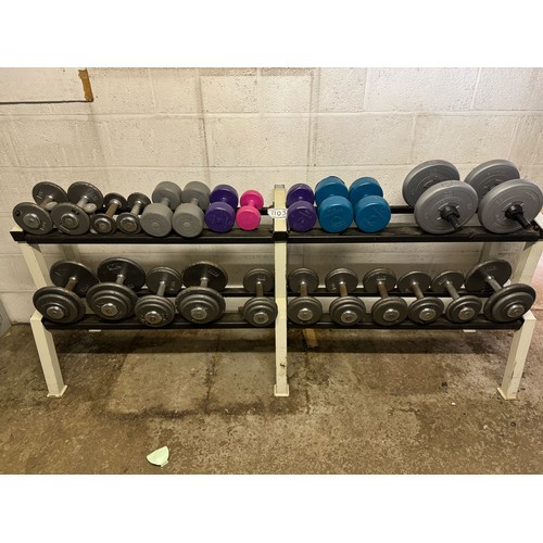 110J - Dumbbell rack with assorted dumbbells