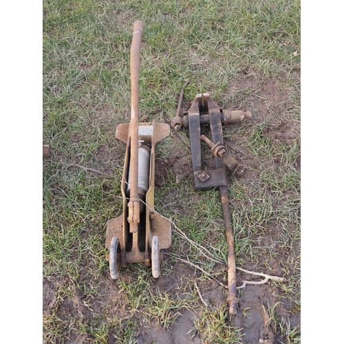 Lot 5         