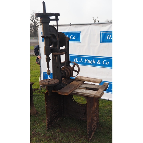 Lot 25        