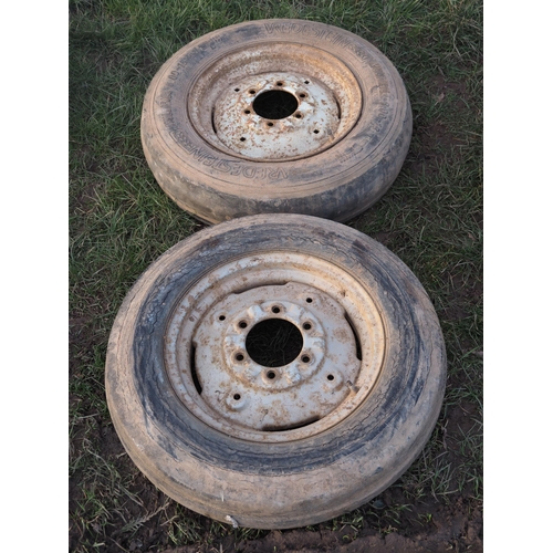 Lot 54        
