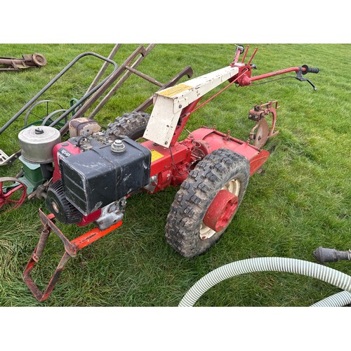 Lot 725       