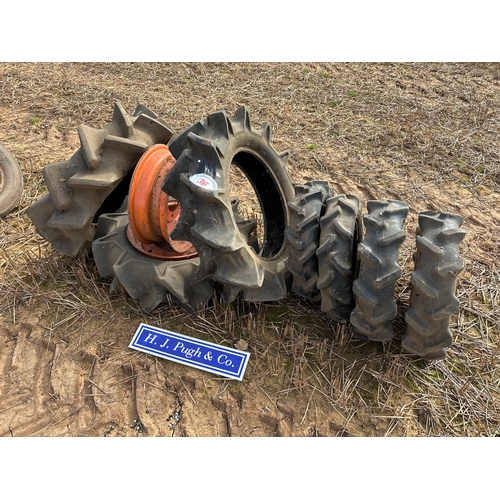 Lot 36        