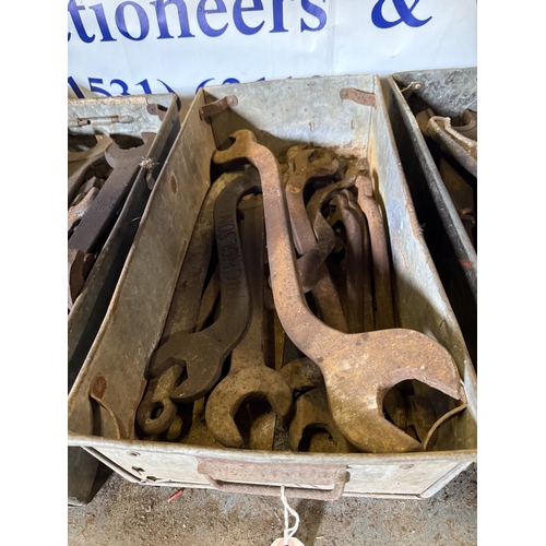 Lot 651       