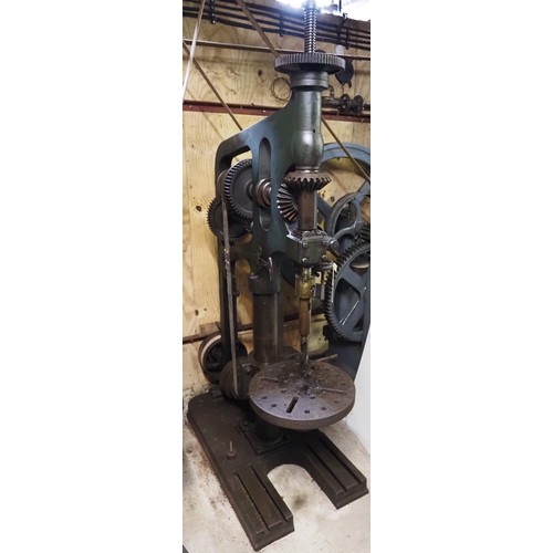 Lot 635       