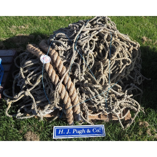 Lot 836       