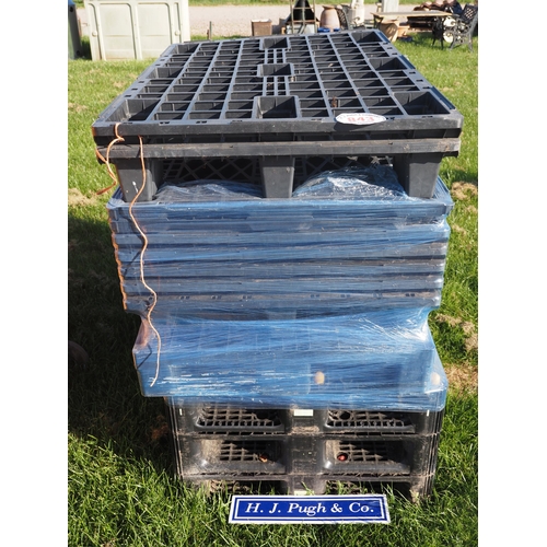 Lot 843       