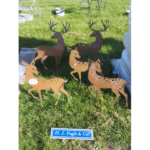 Lot 856       
