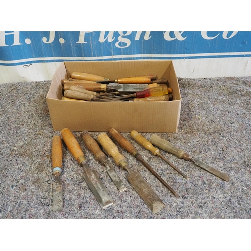 Lot 316       