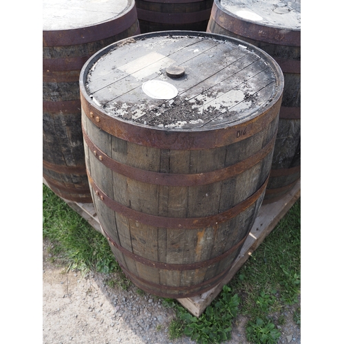 Lot 704       