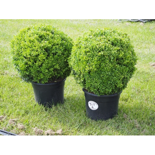Lot 717A      