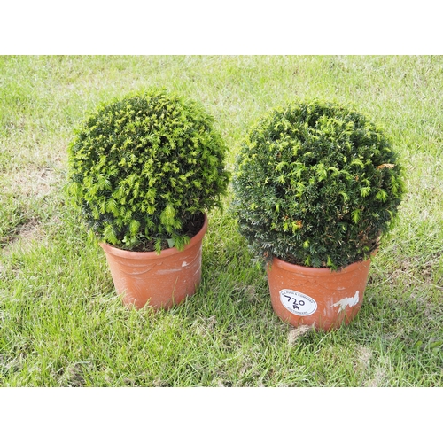 Lot 720A      