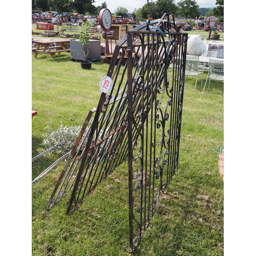 Lot 725       