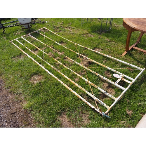 Lot 737       