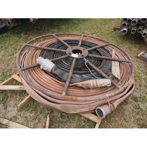 Lot 3005      